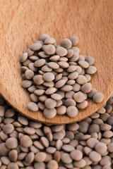 Dry Organic Brown Lentils
