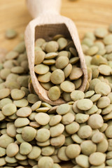 Dry Organic Green Lentils