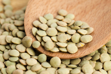 Dry Organic Green Lentils