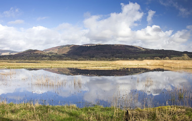 Fototapeta premium Mersehead View Woodland Hide Reflections