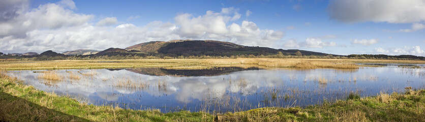 Mersehead Woodland Hide Panorama