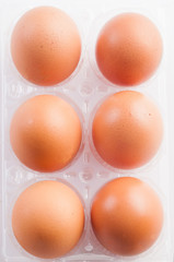 Eggs isolated on white background