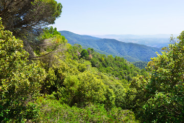 Fototapeta na wymiar Pyrenees mountains from high point. Montseny
