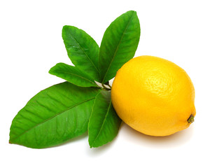 Lemon with leaves