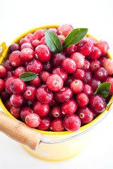 Fresh red cranberry