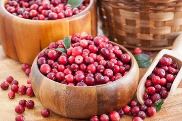 Fresh red cranberry