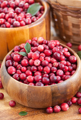 Fresh red cranberry