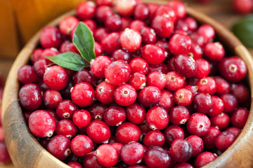 Fresh red cranberry
