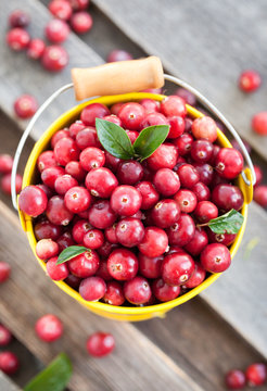 Fresh red cranberry