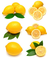 Fototapeta premium Collection lemon with leaves