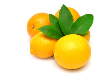 Lemons and oranges with leaf