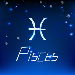 christmas zodiac sign