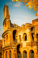 Obraz premium Colosseum at sunset