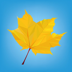 Polygonal maple leaf