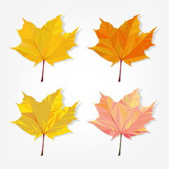 Polygonal maple leaves