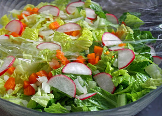 Colorful Garden Salad covered with plastic wrap to keep fresh