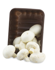Fresh  Mushrooms in a plastic container