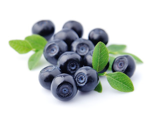 Sweet blueberries