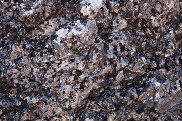 natural colored pattern on a single stone with moss and fungus w
