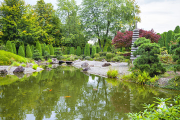 Green pond in Japanese garden in Bonn