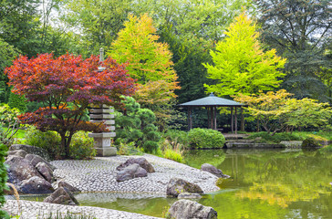 Red tree near the green pond in Japanese garden