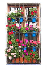 Fototapeta na wymiar Old Window with Flowers Decirations isolated on white