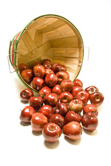 Apples Spilled From Bushel Basket