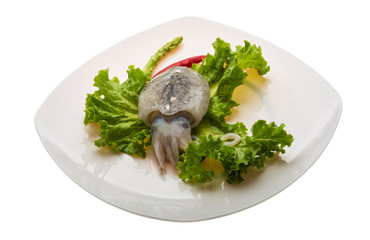Raw cuttlefish