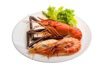 Giant Freshwater Prawn and king prawns