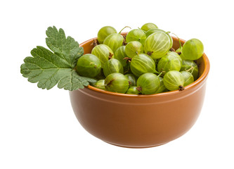 Gooseberry