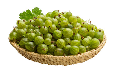 Gooseberry