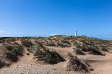 Beach at Lighthouse at Cape Trafalgar