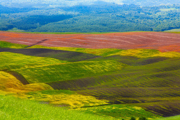 Tuscany colourful agriculture hills Italy