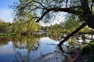 Fototapeta na wymiar spring lake
