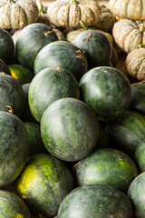 Pumpkin, watermelon, and cantaloupe which is placed for sale.
