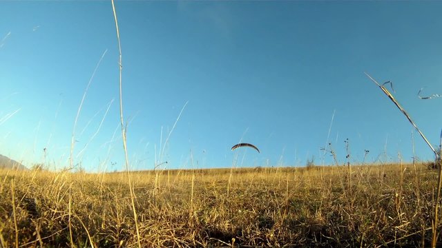 Paraglider preparation to take off from a mountain