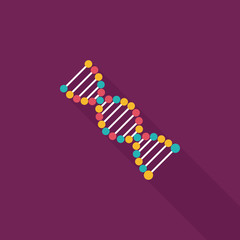 DNA flat icon with long shadow