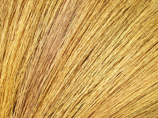 Close up detail of a broom texture. Grunge texture of dry grass