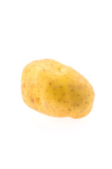 Potato