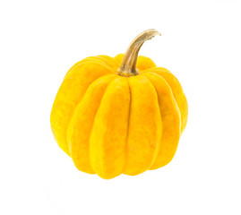 Pumpkin isolated on white