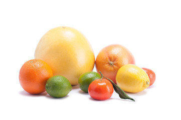 Citrus fruit