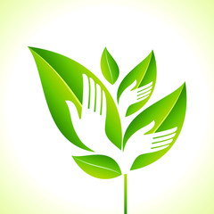 Hand and Leaf - Eco concept