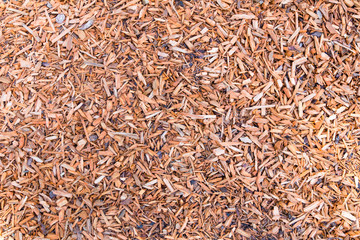 Woodchips on ground as background