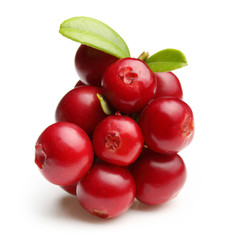 Forest berry cowberry