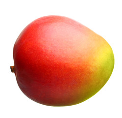 Mango fruit isolated