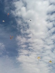 Kites