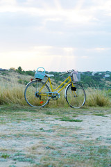 Fototapeta premium Bicycle in meadow during sunset