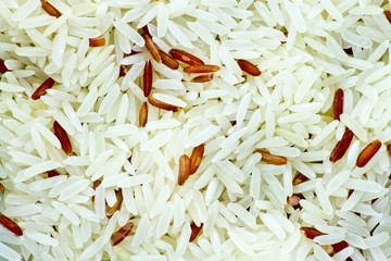 close up of grain rice