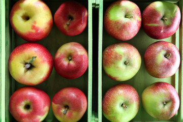 Juicy apples in box, close-up