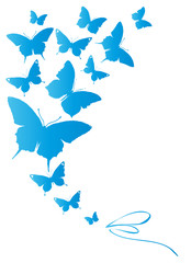 butterflies design